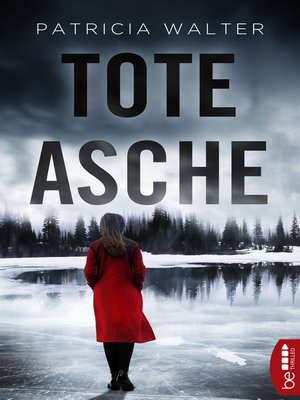 cover image of Tote Asche